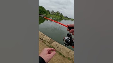 How To Cast A Spinning Reel (For Beginners)