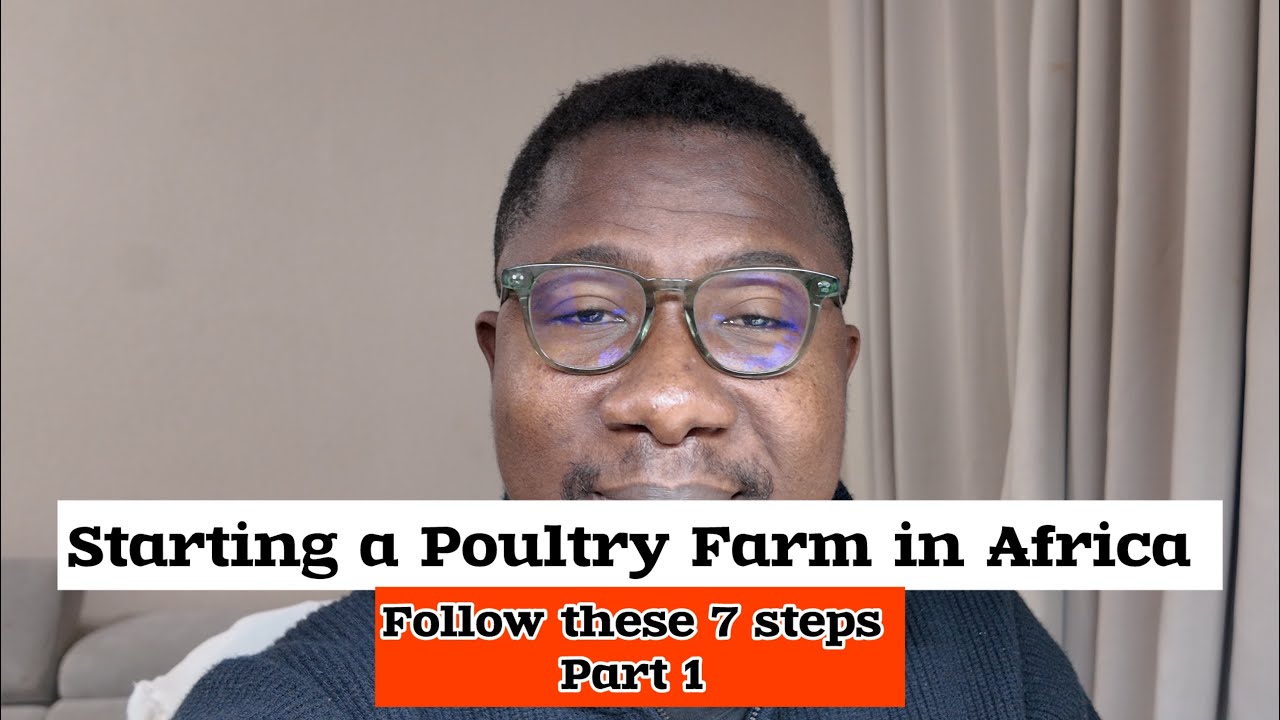 How to start a poultry farm in Africa part 1 - YouTube