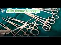 Essential Surgical Instruments for General Procedures