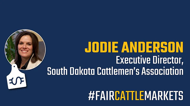 Fair Cattle Markets: Interview with Jodie Anderson...