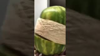 Watermelon Explosion Meme