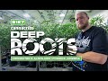 Connected cannabis co  alien labs arizona prop 207 expansion cannabis farm deep roots