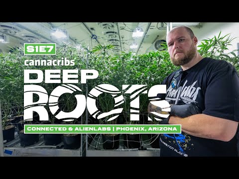 Connected Cannabis Co & Alien Labs: Arizona Prop 207 Expansion Cannabis Farm (Deep Roots)