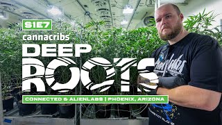 Connected Cannabis Co Alien Labs Arizona Prop 207 Expansion Cannabis Farm Deep Roots