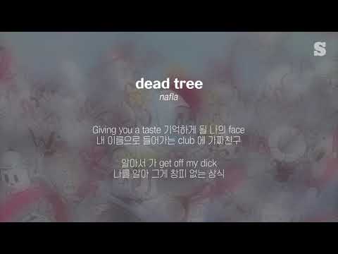 나플라(nafla) - dead tree 가사ㅣLyricㅣsmay