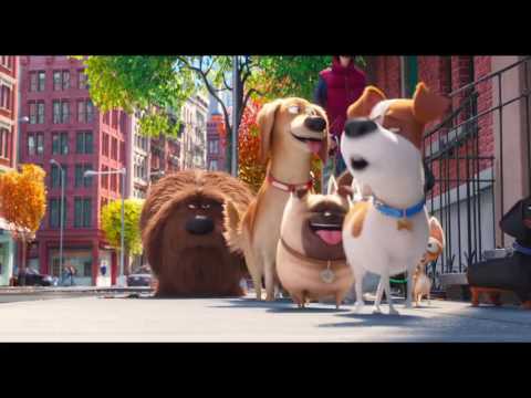 Mascotas - Trailer 3 español (HD)