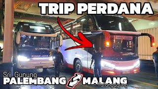 M TRANS PALEMBANG TO MALANG INAUGURAL TRIP LOOK WHICH UNIT THEY USED Rosalia Indah and Damri