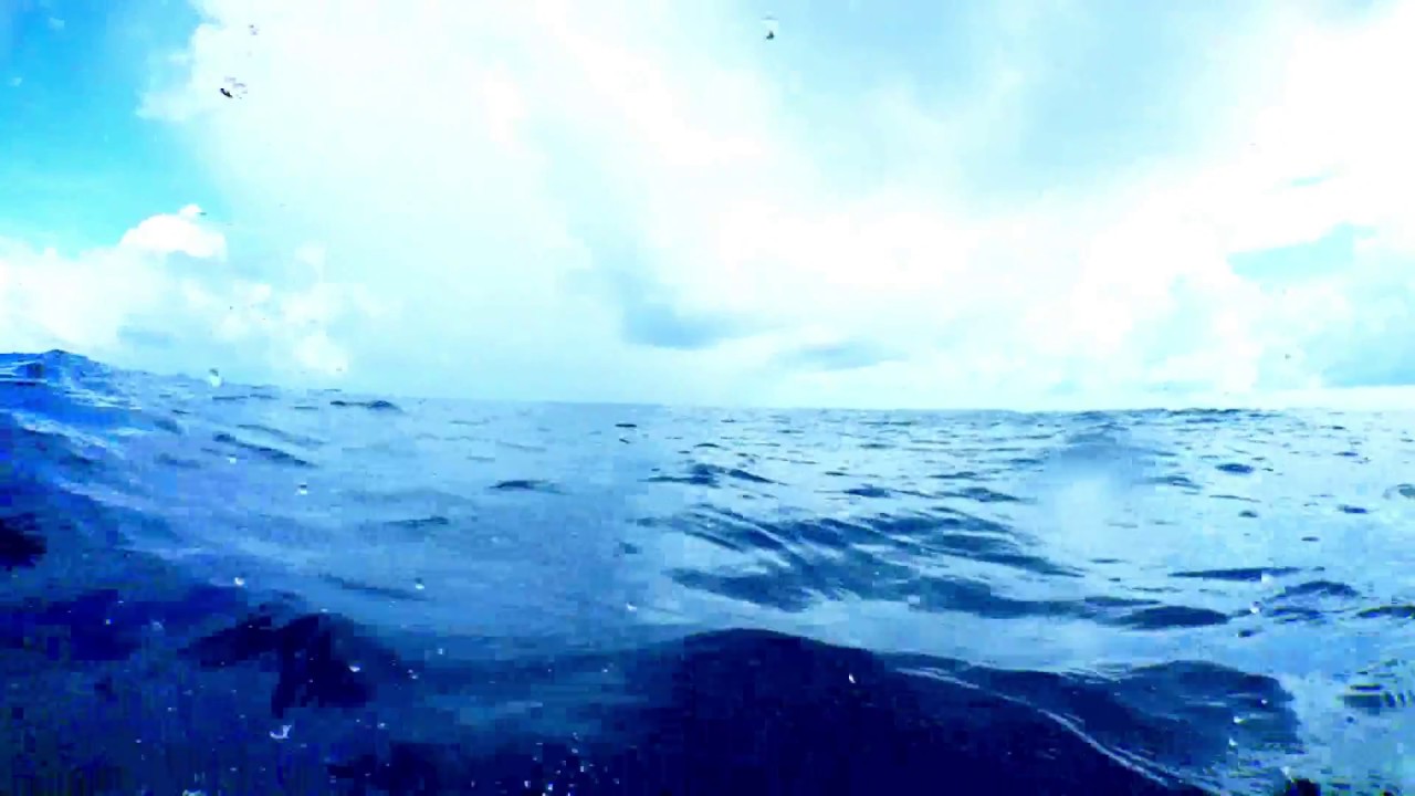 J12 : Petite douche en plein Pot au Noir pour Conrad Colman / Vendée Globe