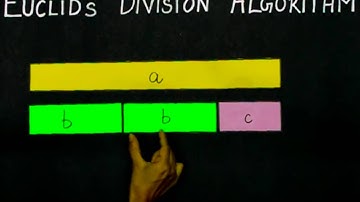 10M01 - Real Numbers - Visualization of Euclid