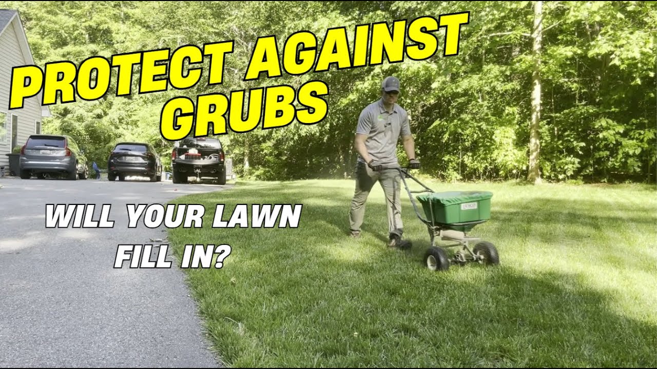 Protect your lawn from Grubs | Will your lawn fill in?