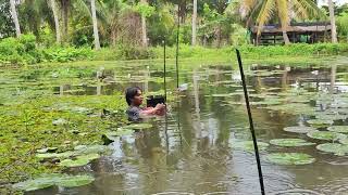 Fishing With Fishing Net While Visiting Hometown at Countryside by SKP LIFESTYLE 479 views 1 year ago 17 minutes