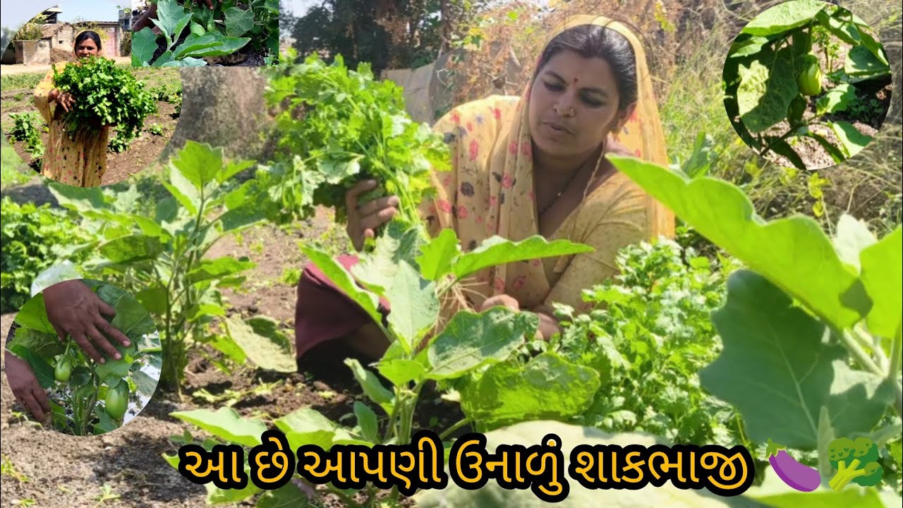 આજે આપણી ઉનાળું શાકભાજી 🥦🍆🤗🥰