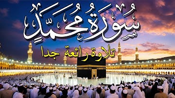 سورة محمد تلاوة جميلة جدا جدا راحة لا توصف للشيخ بدر التركي Surah Muhammad