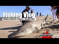 ASFN Fishing Vlog - Taking a lady for a dance Sardine Run