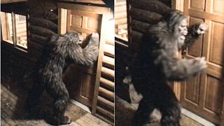 Hunter Heard a Sasquatch Pounding on His Cabin Door—It Was Begging Him to Save Its Baby
