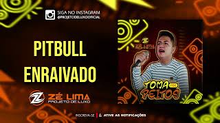 Video thumbnail of "PROJETO DE LUXO | PITBULL ENRAIVADO"