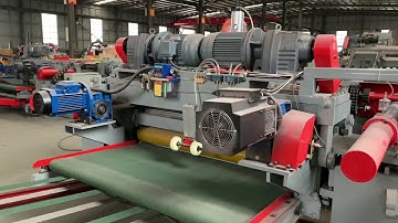 Veneer automatic peeling line with log debarkr /stacker for plywood production process making