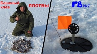 Бешеный клёв плотвы. Поймали преступницу на жерлицу