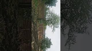 Download Lagu Field shot #dangdut MP3