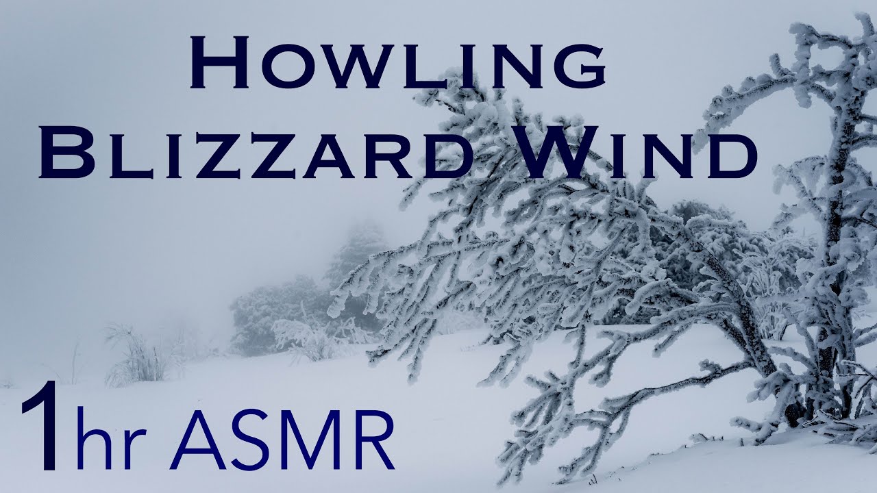 [ASMR] Howling Sounds of Blizzard Wind - 1 Hour - YouTube