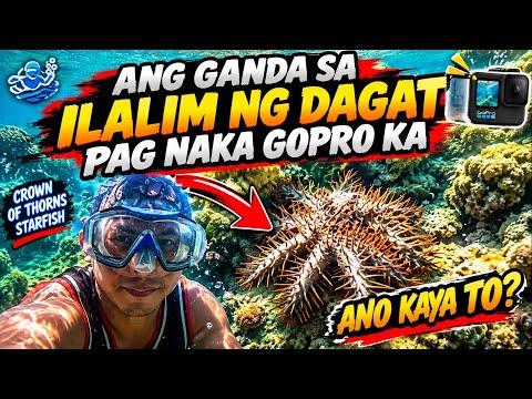 ANO KAYA TO NAKITA KO | ANG GANDA SA ILALIM NG DAGAT |