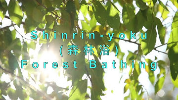 Introduction to Shinrin-Yoku | 森林浴 | The Art of Forest Bathing