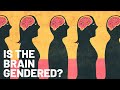 Is the Brain Gendered?: The Debate