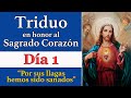 "Por sus llagas hemos sido curados" | Triduo en honor al Sagrado Corazón de Jesús  Día 1