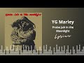 YG Marley - Praise Jah In the Moonlight (Lyrics)