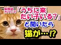 保護猫カフェで猫に「うちに来たい子いる？」って聞いたら、猫が…!?【猫の不思議な話】【朗読】