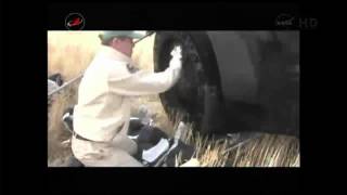 Expedition 30 - Soyuz TMA-22 Landing Replay and Hatch Opening
