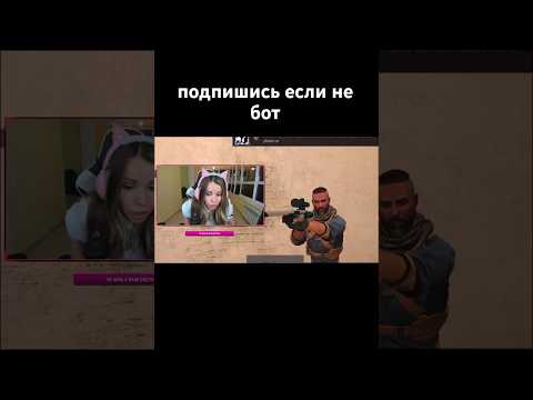 Сыграл с котей, но за каждую смерть покупаю батл пасс #standoff2 #brat1shka #shrots #standoff