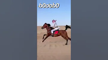 امي ليا شافت زولي تهلي السعودية الكويت الامارات اكسبلور ترند 