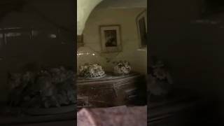 Cobwebs And Coffins