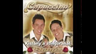 Video thumbnail of "Capuccino együttes - Kislány a zongoránál / 2004 (official audio)"