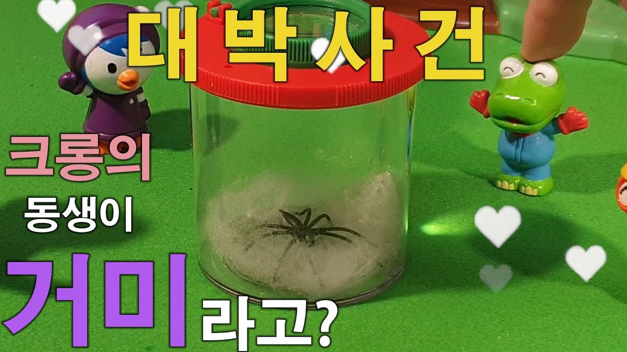 애완거미 아기 돌보기 동생바보 크롱의 작은 친구 |꿈토이|제8화