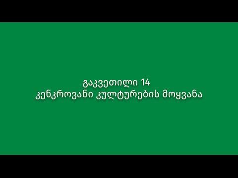 გაკვეთილი 14. კენკროვანი კულტურების მოყვანა