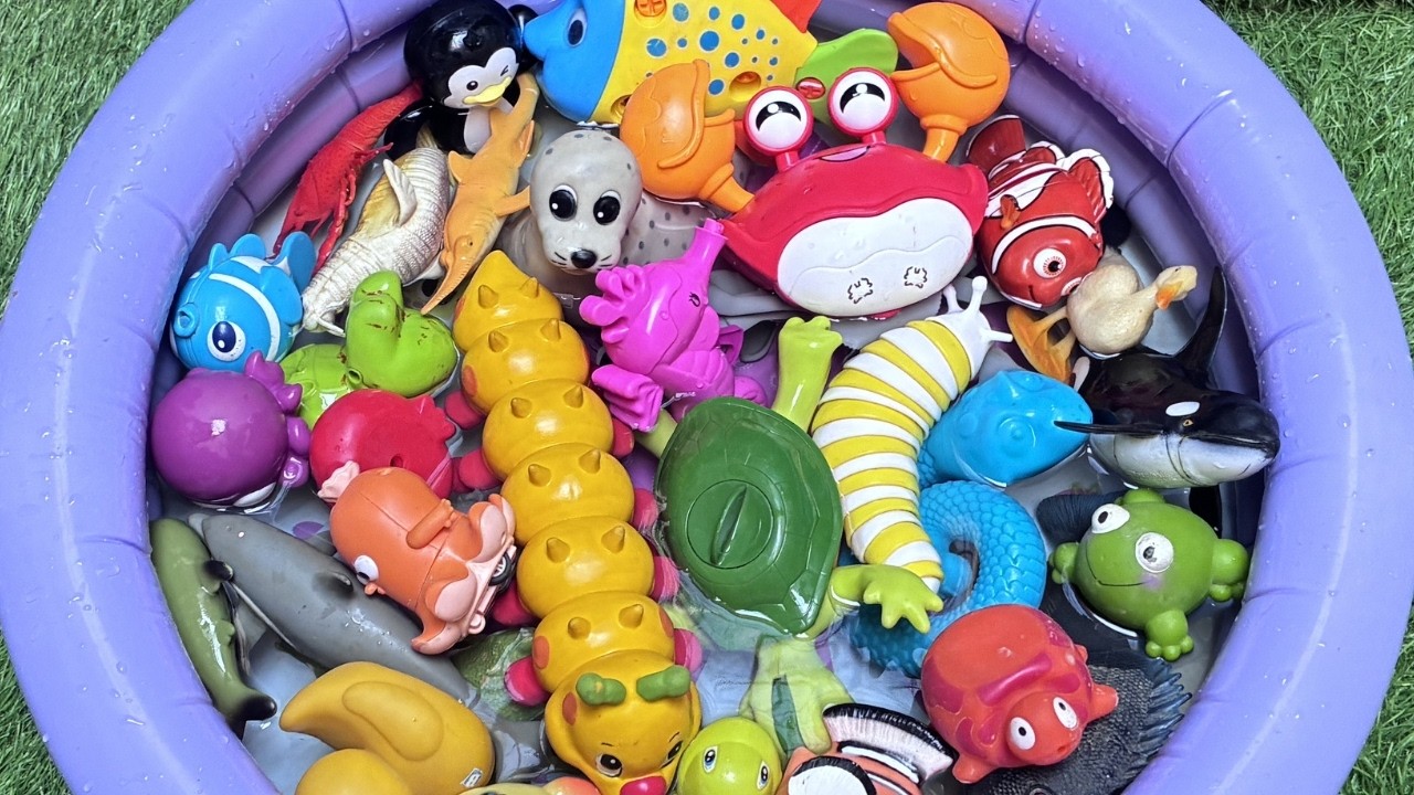 Learn Sea Animals for Kids | Names, Fun Facts & Amazing Ocean Creature Toys! Educational vocabulary