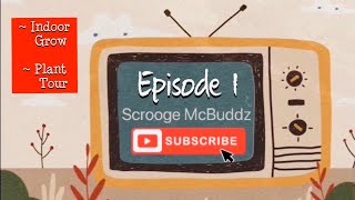 Episode 1: INDOOR GROW PLANT TOUR