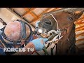 What Happens To Army Horses After They Serve? | Forces TV