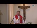 What is a Joyful Heart? Homily By Fr Jerry Orbos SVD  -  September 4, 2020