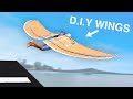 I made cardboard wings and tried to fly