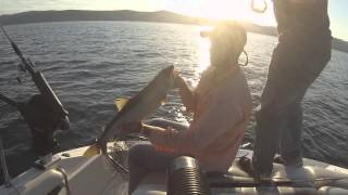 Lake George Summer 2015 Trolling