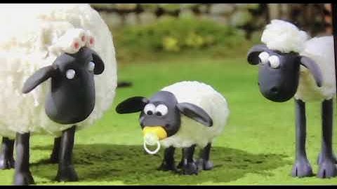 Shaun the Sheep timmy sheep crying!