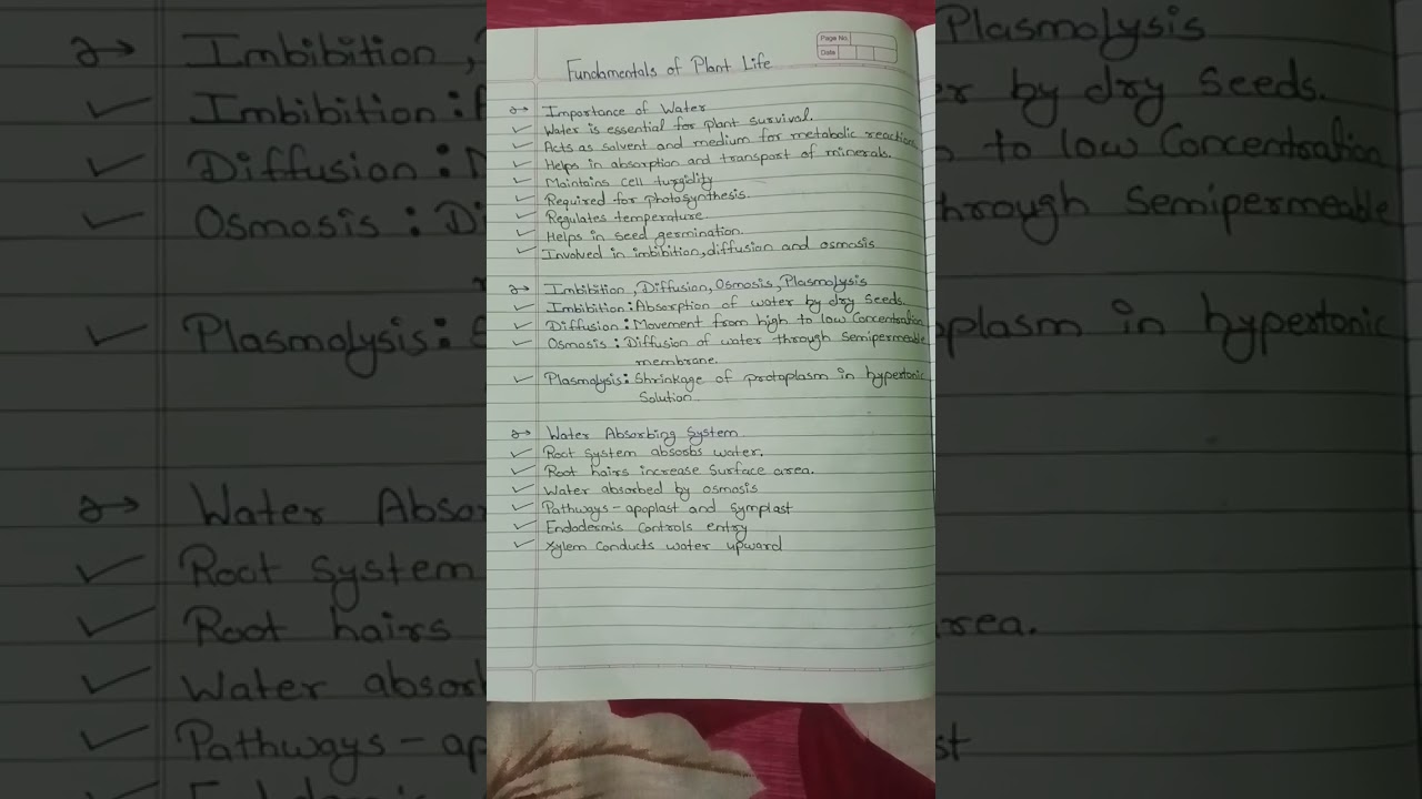 Unit 1: Fundamentals of Plant Life | Water, Transpiration & Essential Elements 🌿