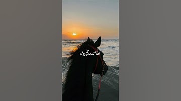 القارئ عبدالرحمن مسعد 🕊| تلاوة هادئة 🤎🕊#قران_كريم #عبدالرحمن_مسعد