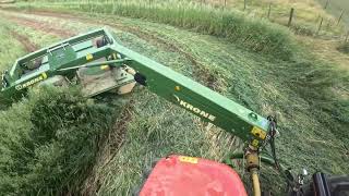 cutting oats for hay