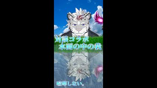 …おや！？レオパードのようすが…！ー緊急座談会～水面に映る我　【レオパード聖騎士長】