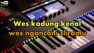 KISINAN Karaoke Cowok Versi Goyang Esek-Esek Sagita || Nada G