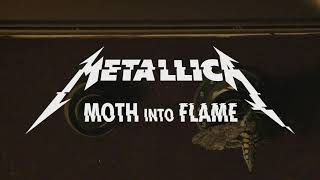 Metallica-Moth Into Flame (Only Guitars Cover)